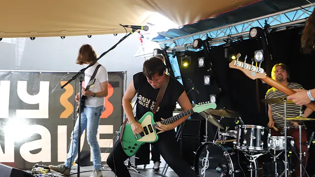 Zink overzicht