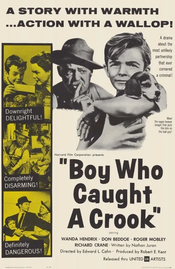 Boy Who Caught a Crook poster