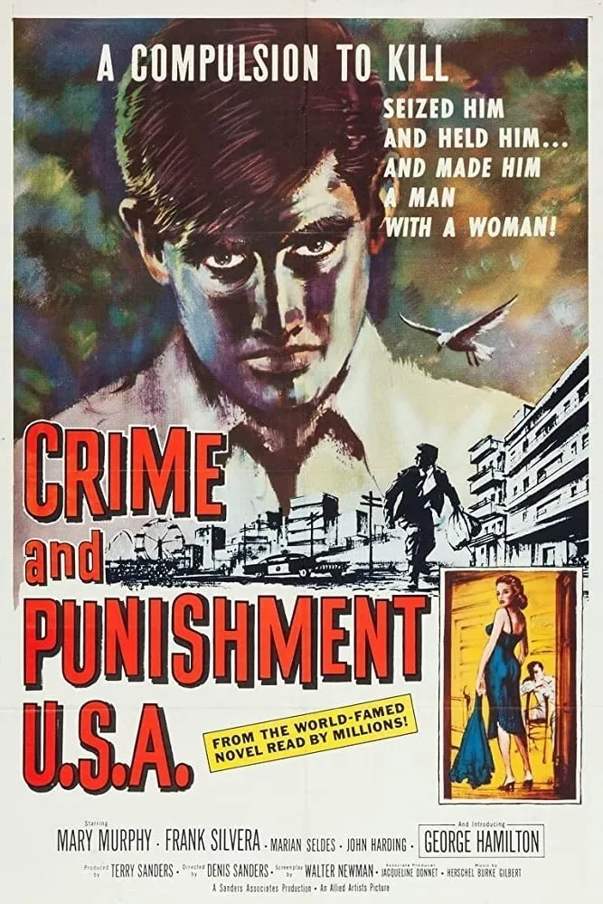 USA Crime & Punishment poster
