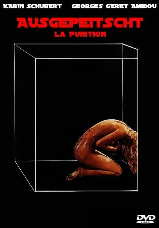 La punition poster