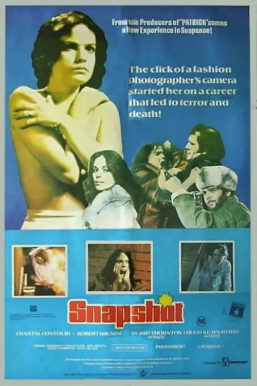 Snapshot poster
