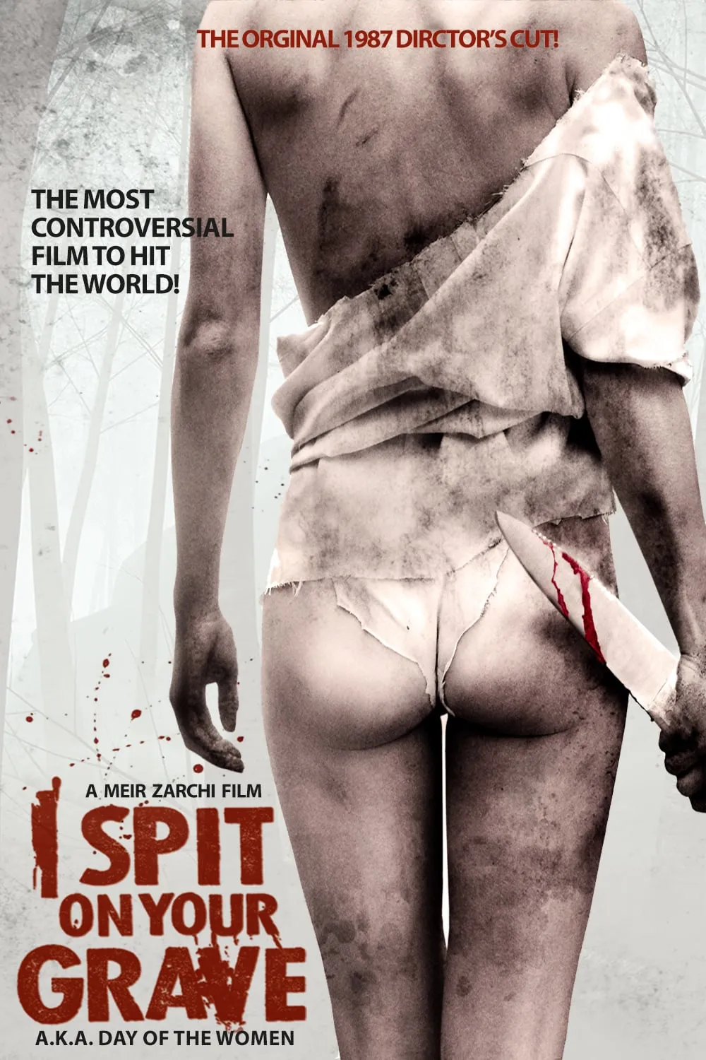 Day of the Woman poster