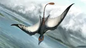 Reconstructie van Bellubrunnus rothgaengeri, een pterosaurus waarvan de resten in 2002 in Duitsland zijn gevonden
