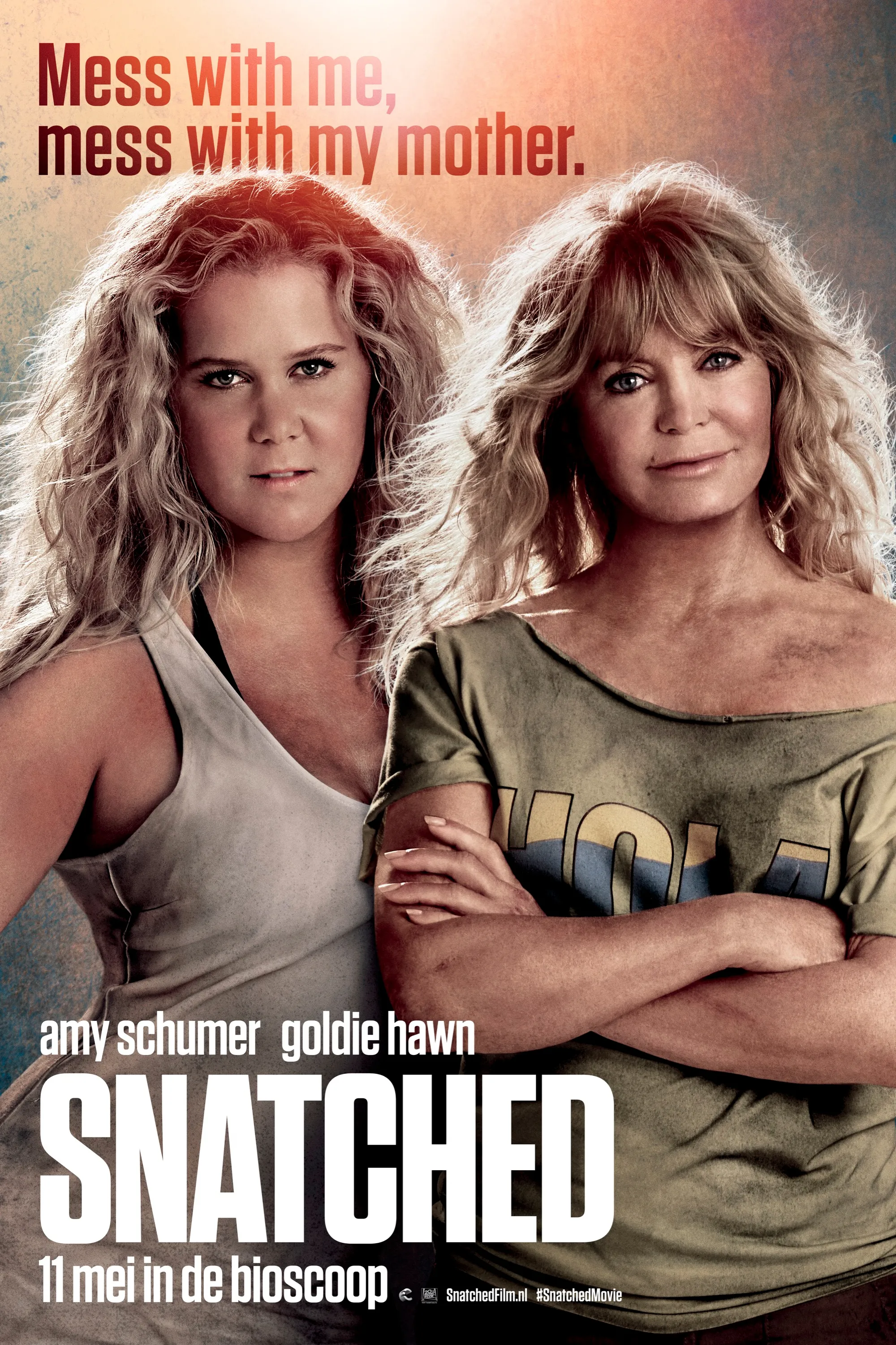Snatched poster