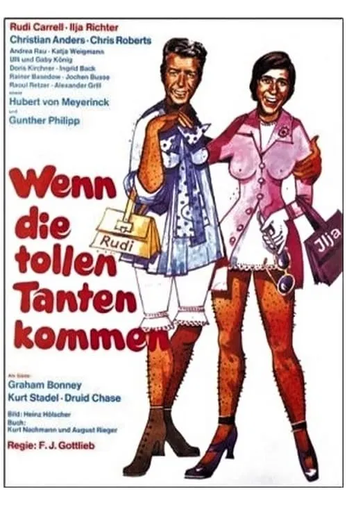 Wenn die tollen Tanten kommen poster