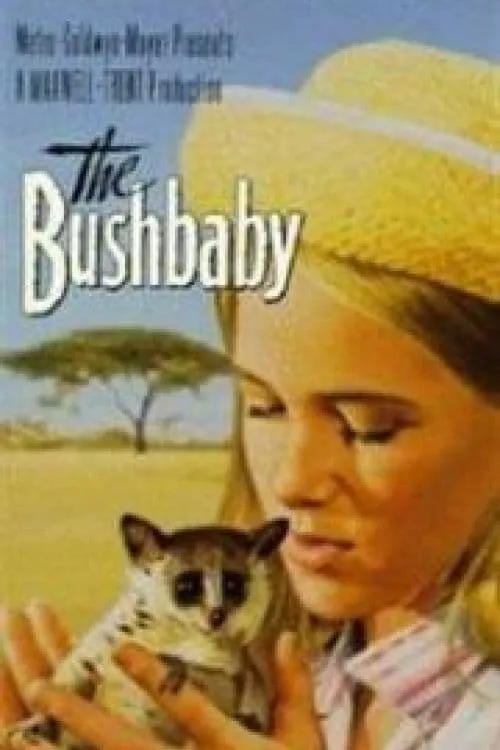 The Bushbaby poster