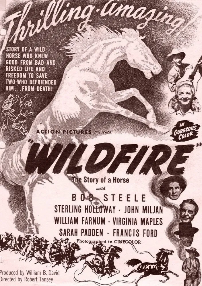 Wildfire poster