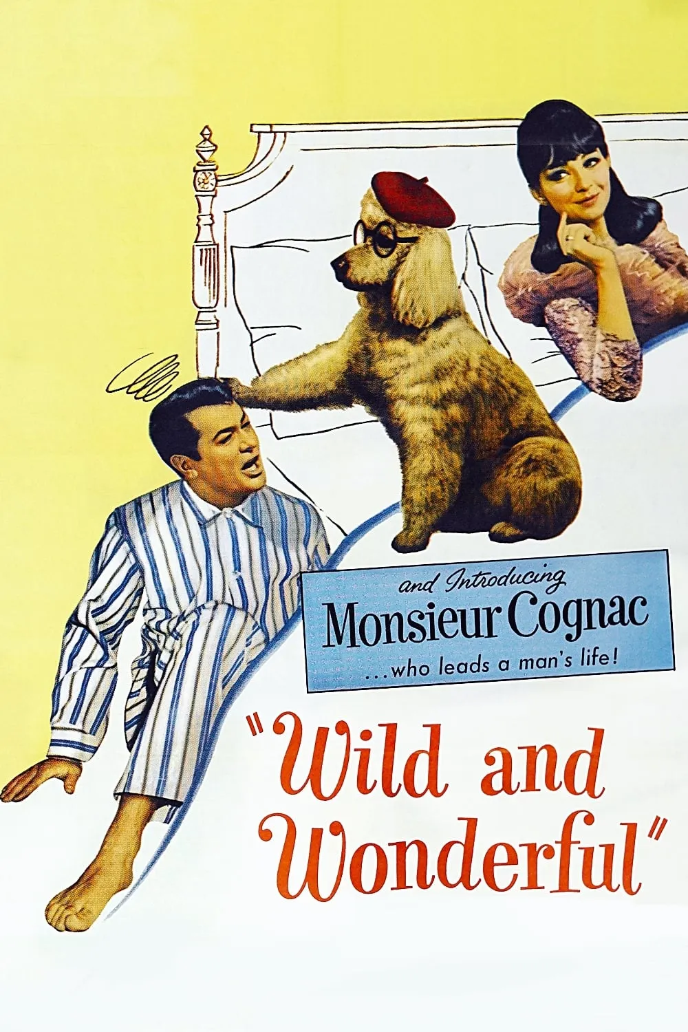 Wild and Wonderful poster