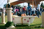 Festival De Zon