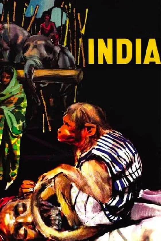 India, matri bhrumi poster