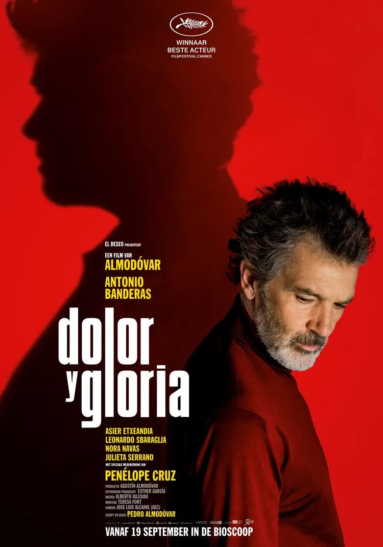 Dolor y gloria poster