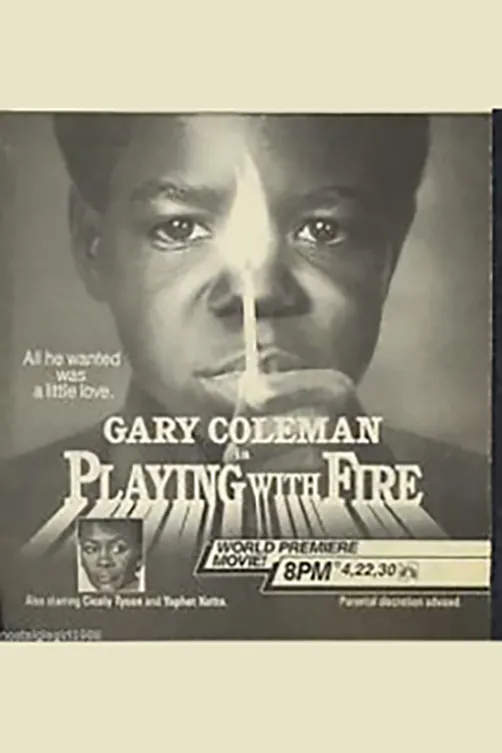 Playing With Fire poster