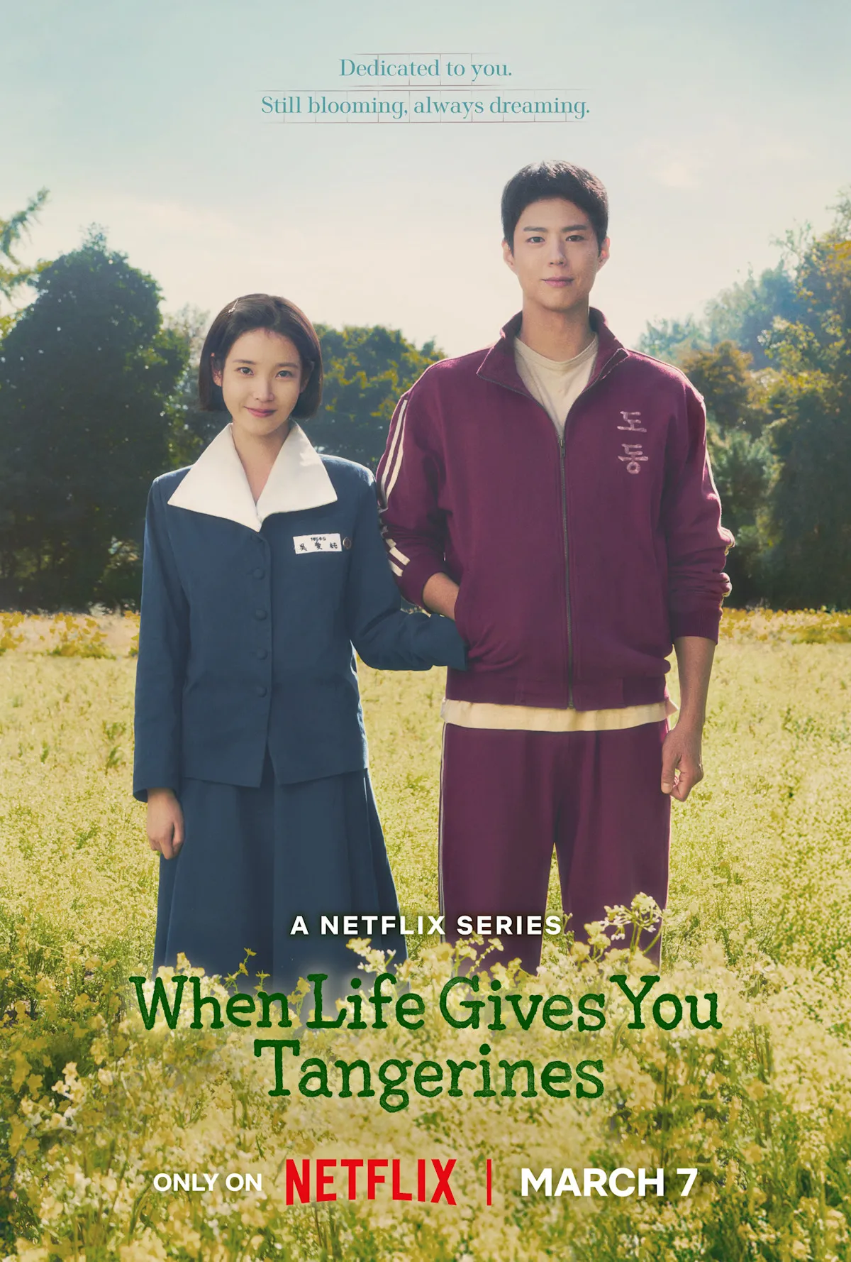 When Life Gives You Tangerines poster