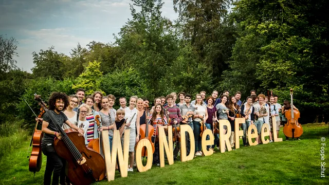 Wonderfeel