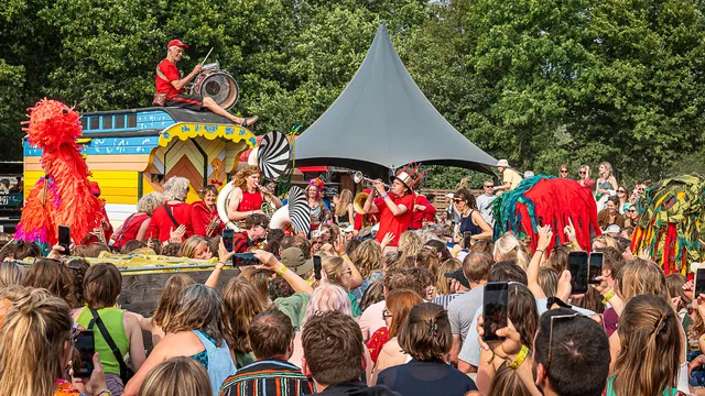 Down The Rabbit Hole