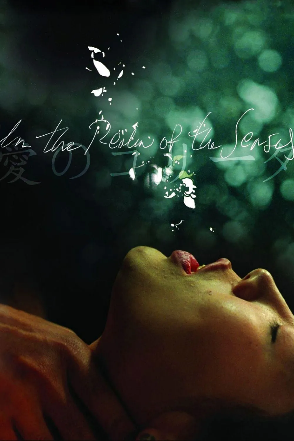 In the Realm of the Senses poster