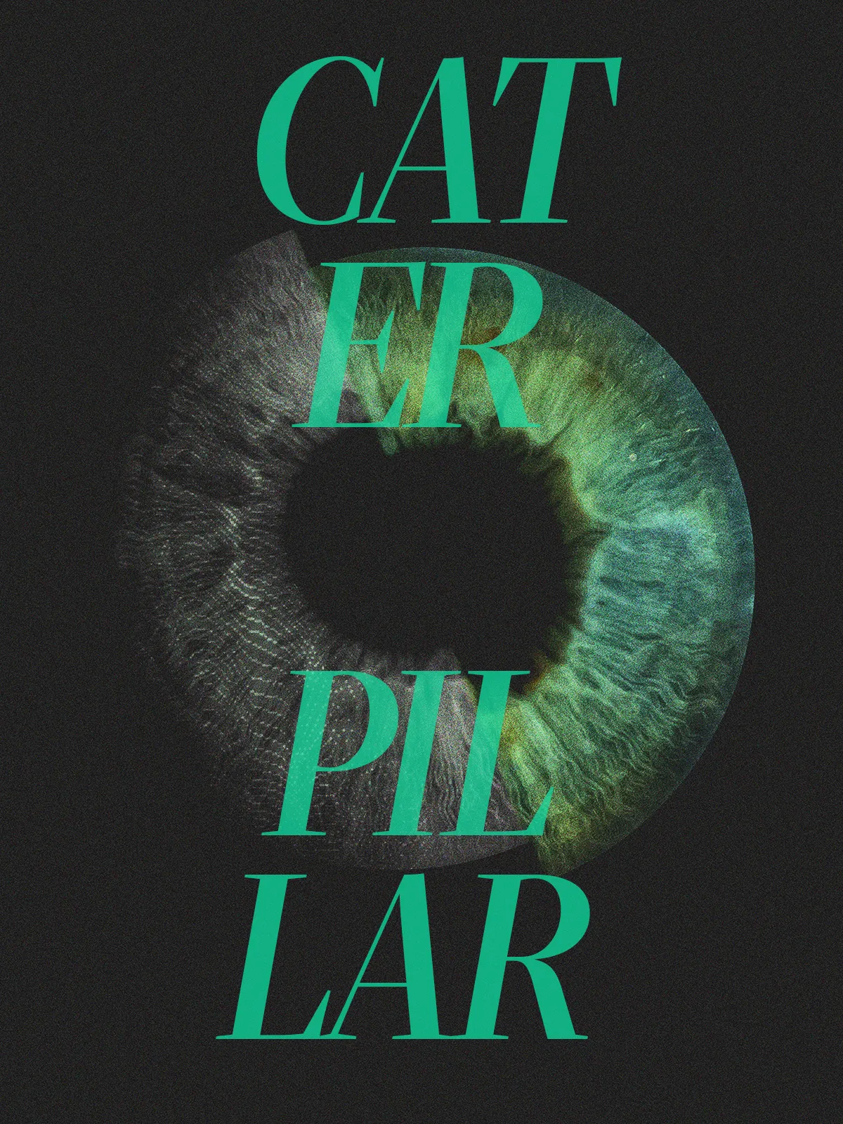 Caterpillar poster