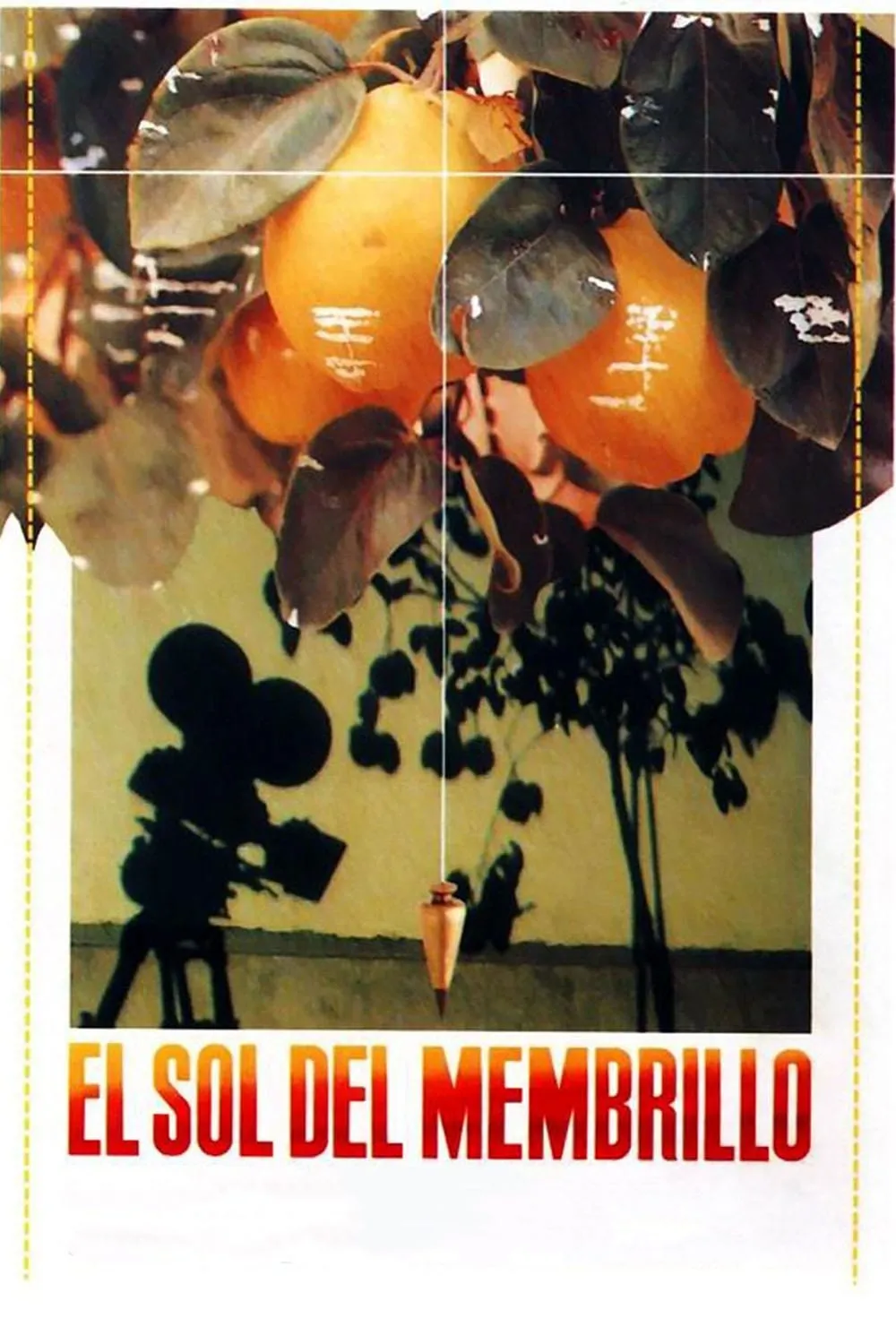 El sol del membrillo poster
