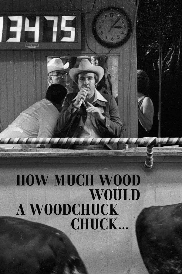 How Much Wood Would A Woodchuck Chuck? poster