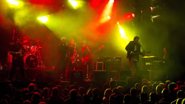 Urf, Runt & Rukvet No. 8