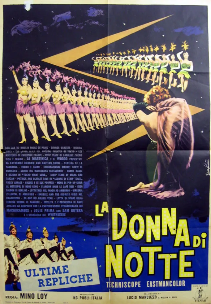 La donna di notte poster