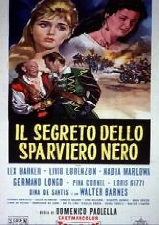 Il segreto dello Sparviero Nero poster