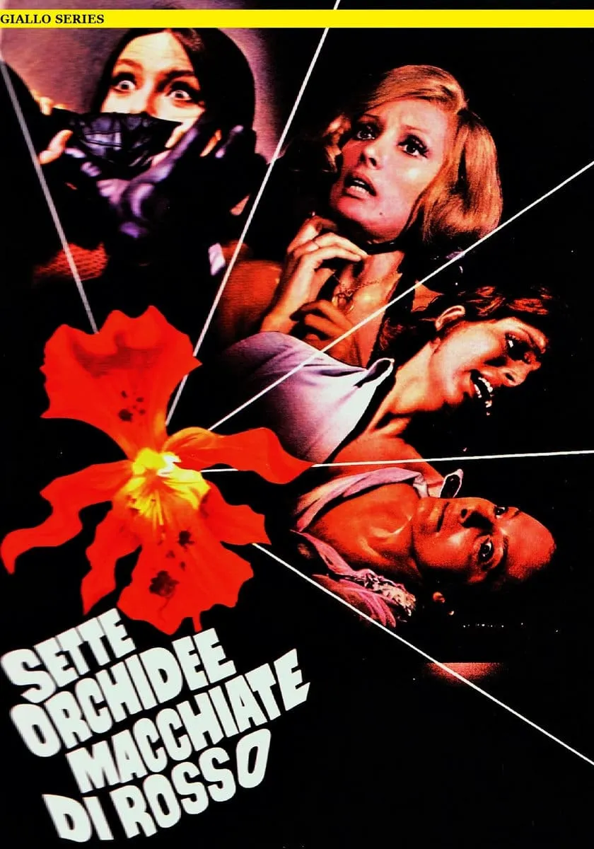 Sette orchidee macchiate di rosso poster