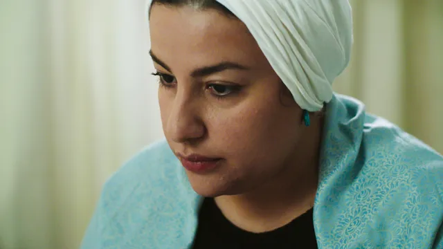 De Egyptische cartoonist Doaa el-Adl