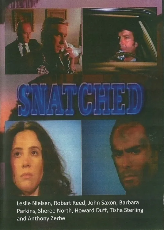 Snatched poster