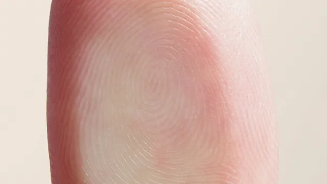 poetry international