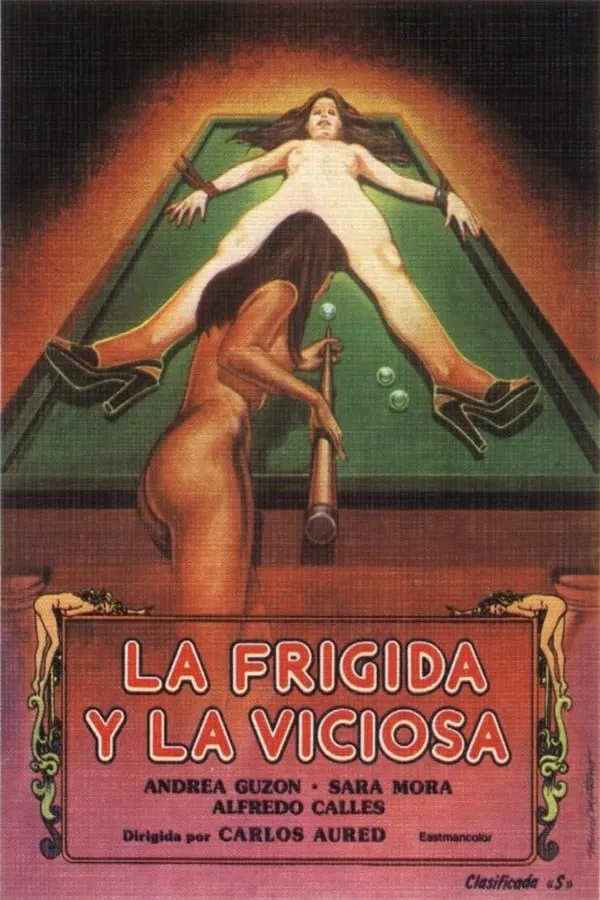 La Frigida y la viciosa poster