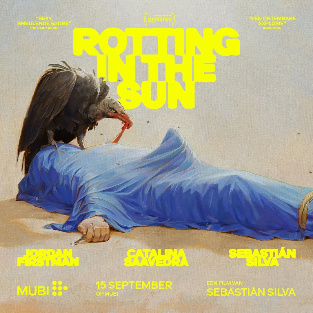Rotting in the Sun poster