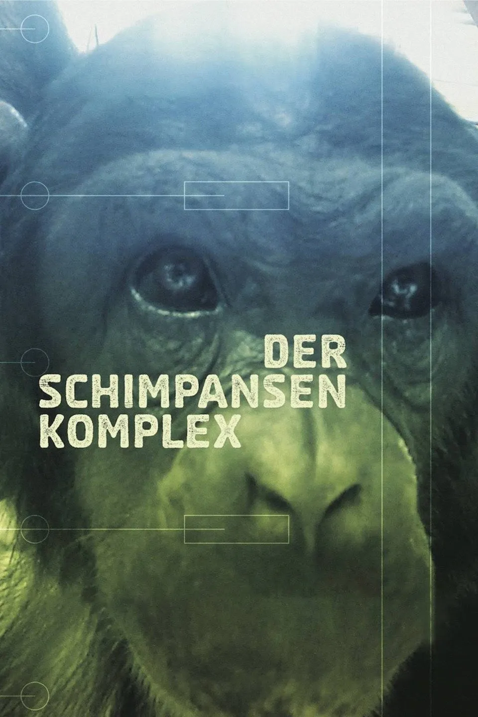 Het Chimpansee complex poster
