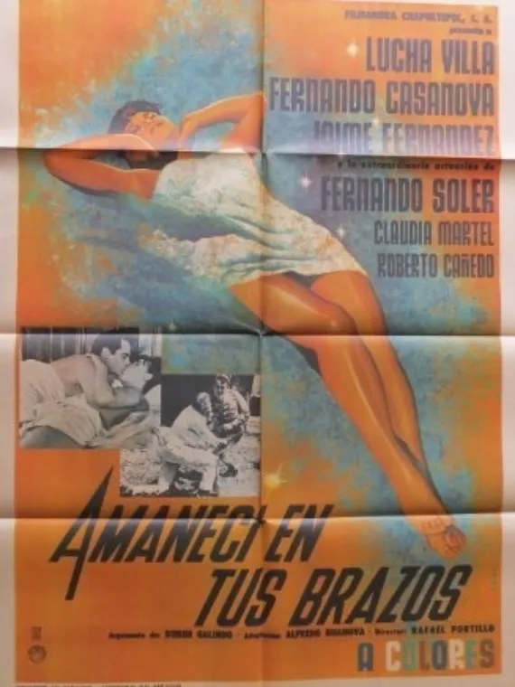 Amanecí en tus brazos poster
