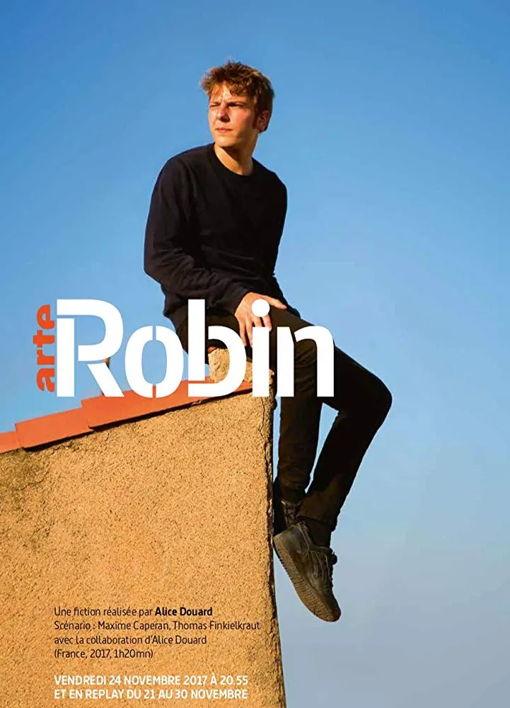 Robin poster
