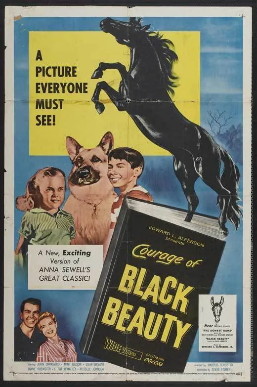 Courage of Black Beauty poster