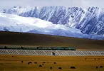 Sinds 2006 brengt deze trein reizigers vanuit China naar Lhasa, de Tibetaanse hoofdstad
