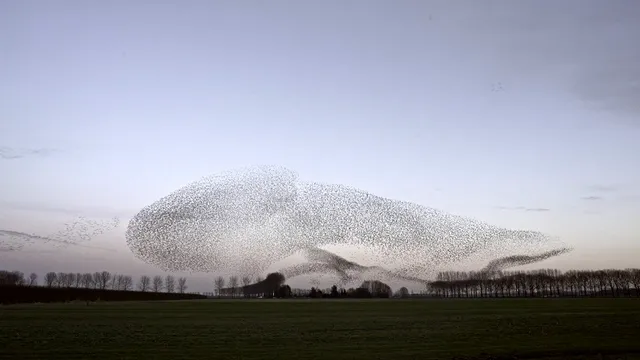 Ammodo Docs - header