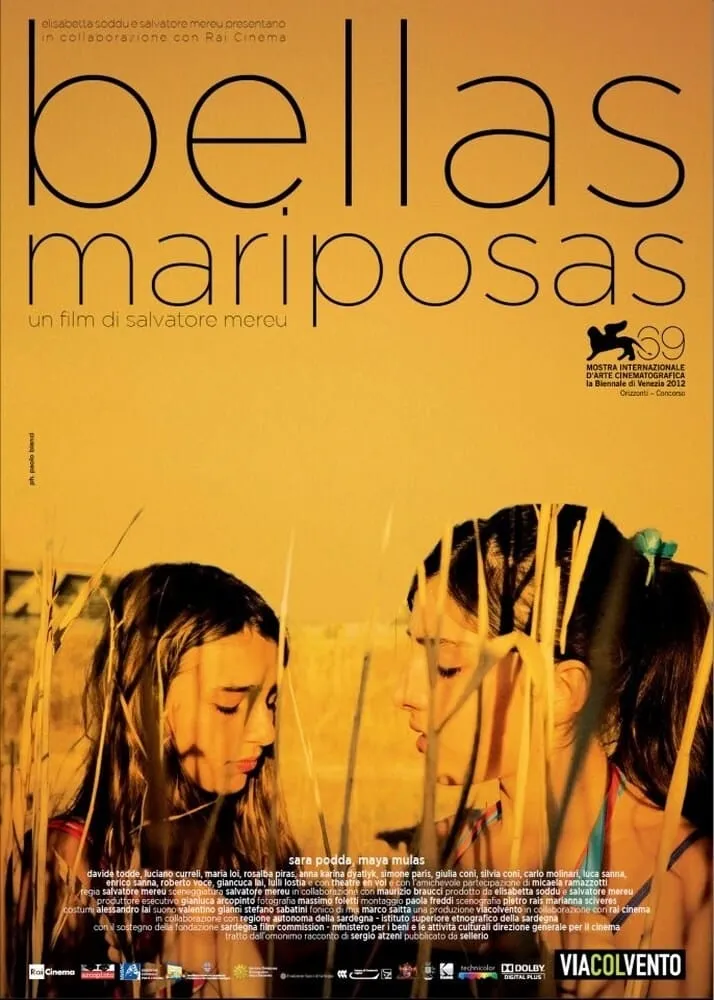 Bellas mariposas poster
