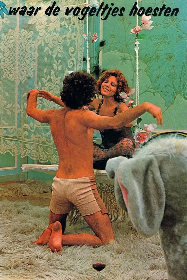 Waar de vogeltjes hoesten poster