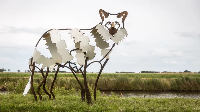 Hongerige Wolf - Wolf