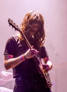 Mojo And The Kitchen Brothers