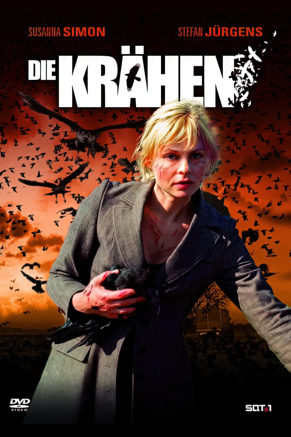 Die Krähen poster