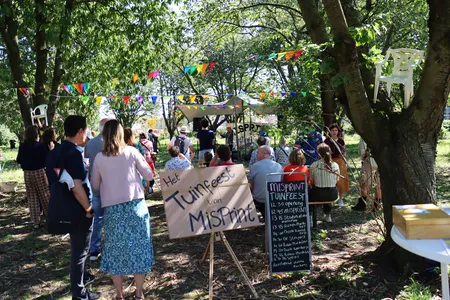 Festival de Oversteek