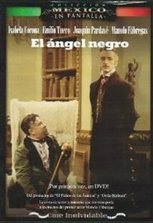 El Angel Negro poster
