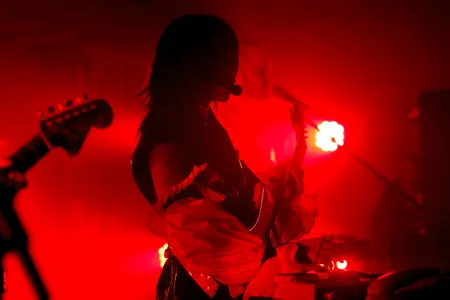 45ACIDBABIES @ VOGELFREI