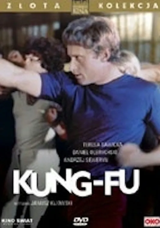 Kung fu poster