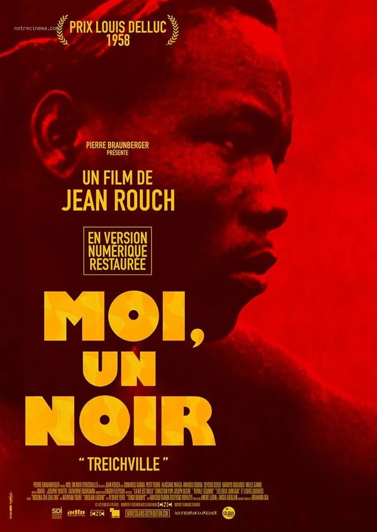 Moi un noir poster
