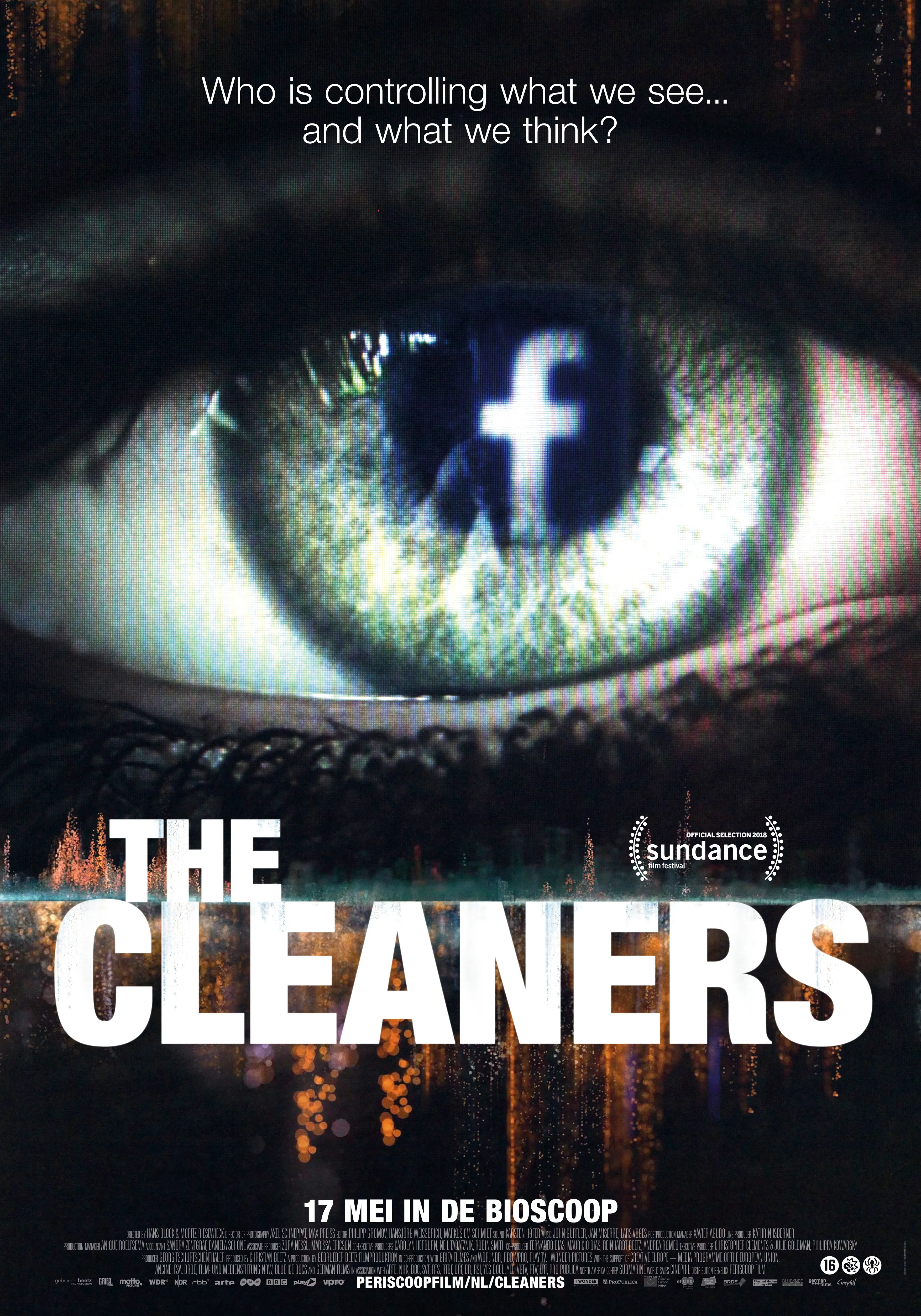 The Cleaners poster