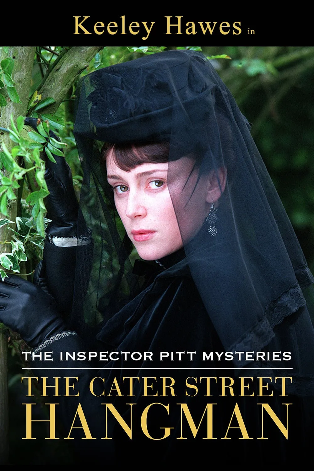 The Inspector Pitt Mysteries: The Cater Street Hangman poster